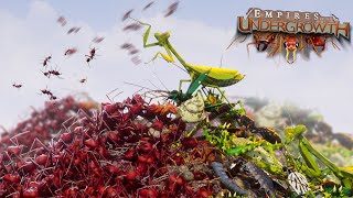 BUG EAT BUG WORLD  Empires Of The Undergrowth  Ep25 [upl. by Magen]