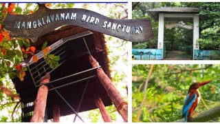 Couples Park Kochi  Mangalavanam Bird Sanctuary [upl. by Lowell]