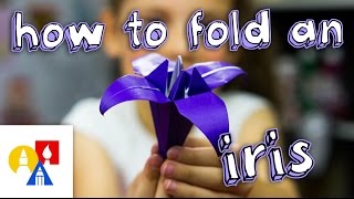 How To Fold An Origami Iris [upl. by Rutger]