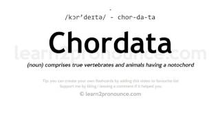 Pronunciation of Chordata  Definition of Chordata [upl. by Rebmac556]