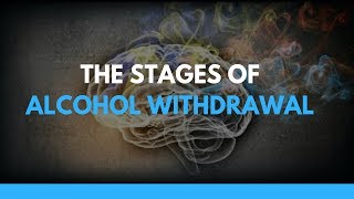 The Stages of Alcohol Withdrawal [upl. by Joleen]