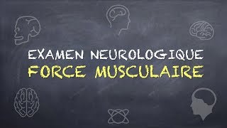 Sémiologie Neurologique  Examen de la force musculaire [upl. by Kceb]