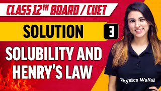 Solutions 03  Solubility and Henrys Law  Class 12thCUET [upl. by Amein350]