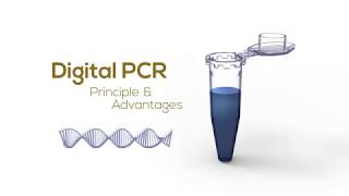 Digital PCR Principle amp Advantages [upl. by Bullen371]