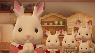 A Sparkly Clean Home ✨Sylvanian Families [upl. by Gnohc]