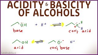 Acidity  Quick Relief Yoga Poses  Dr Hansaji [upl. by Maretz]