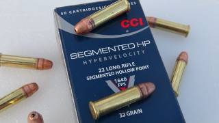 22 LR CCI Segmented HP Ammo Test [upl. by Aldridge]