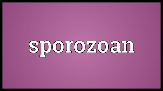 Sporozoan Meaning [upl. by Janeta792]