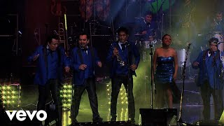 Los Ángeles Azules  Cumbia Coqueta Live [upl. by Emor586]