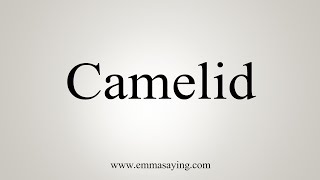 How To Say Camelid [upl. by Gilbye]