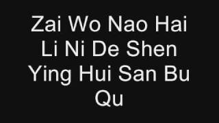 Qing Fei De Yi by Harlem Yu Lyrics PINYIN [upl. by Meeker611]