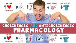 Cholinergic and Anticholinergic Pharmacology for Nursing Students [upl. by Hunsinger]