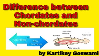 Difference between chordates and non chordates [upl. by Ellehcirt]