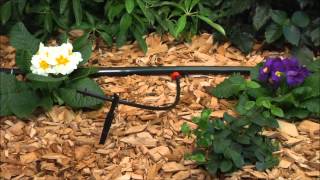 Rain Bird Drip Irrigation System [upl. by Nerehs]