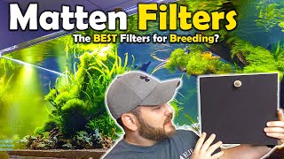 Why Most BREEDERS Choose this FILTER for their AQUARIUM  Matten Filters [upl. by Elhsa]