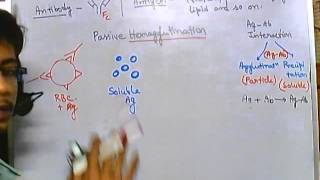 Hemagglutination assay [upl. by Lirbij]