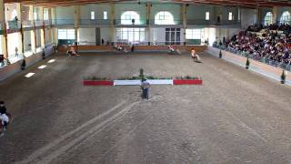 Haflinger Pferde Springquadrille Horses Showjumping [upl. by Kristi]