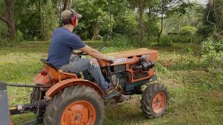 Flail Mowing  Kubota B7100 [upl. by Stratton]