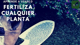 APRENDE a FERTILIZAR todo tipo de PLANTAS [upl. by Dreher]