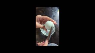 ASMR Opening Balut💗 Exotic food from the Philippines 💗 [upl. by Ardnuaek]