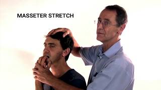 How to Stretch the Masseter Muscle  Trigger Point Therapy [upl. by Ysac]