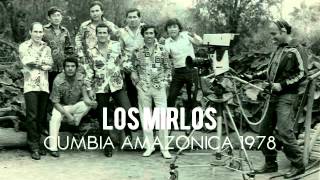 Los Mirlos  Cumbia Amazonica Vinyl 1978 [upl. by Abott]