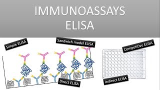 The Principle of Immunoassays ELISA Enzyme Linked Immunosorbent Assay [upl. by Ehcropal]