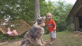 A Pet Dog Saved This Couples Toddler From a Snake Attack [upl. by Takeshi789]