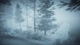 Intense Winter Storm at the Lake┇Howling Wind amp Blowing Snow ┇Sounds for Sleep Study amp Relaxation [upl. by Wardieu633]