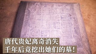 两座古墓破解大唐宫廷奇案！唐代贵妃竟在死亡13年后才被安葬 壁画吐露千年前的秘密！ 《探索·发现》唐安国相王孺人墓 丨 中华国宝 [upl. by Adiasteb]