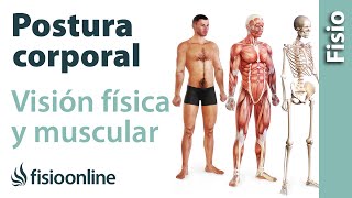 Postura corporal  Visión física y muscular [upl. by Aneloj]