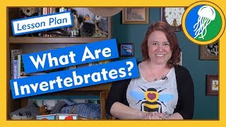 What Are Invertebrates  Lesson Plan [upl. by Ahsito]