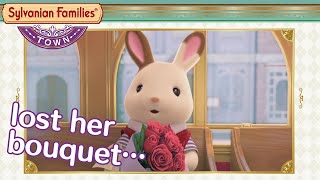 Sylvanian Families Cartoon  A Special Anniversary [upl. by Ettenrahs306]