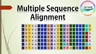 Multiple Sequence Alignment [upl. by Augustina]