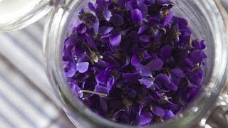 Making Perfume from Violets Enfleurage  Fresh P [upl. by Gnat]