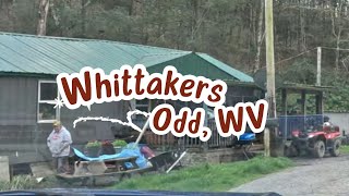 The Famous Whittakers of Odd West Virginia [upl. by Adiazteb]