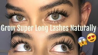 HOW TO GROW YOUR LASHES NATURALLY [upl. by Wesley]