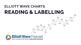 How to Read and Label Elliott Wave Charts  Learn Elliott Wave  Elliott Wave Forecast [upl. by Davida]