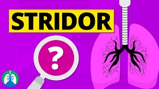 Stridor Abnormal Lung Sounds  Causes and Treatment [upl. by Adila]