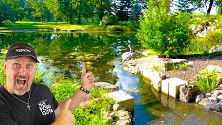 Amazing FARM POND Renovation [upl. by Enyaz]