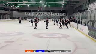 Tigers VS West Dundee Leafs QTR Finals Part 1 [upl. by Oilenroc]