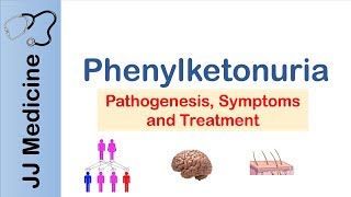 Phenylketonuria  Genetics Signs amp Symptoms Treatment [upl. by Lleznol907]