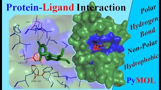 Analysing ProteinLigand Interactions  Tutorial [upl. by Serena170]