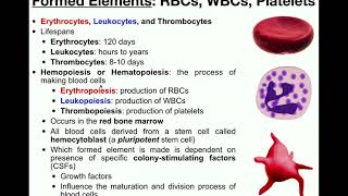 Anatomy  Basics of the Formed Elements RBCs WBCs amp Platelets [upl. by Mikol90]