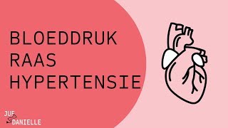 Bloeddruk RAAS en hypertensie [upl. by Ruthie]