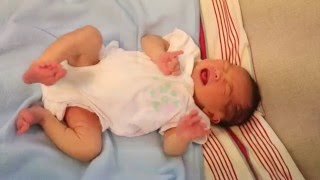 Newborn Baby Kicking and Crying [upl. by Heidy]