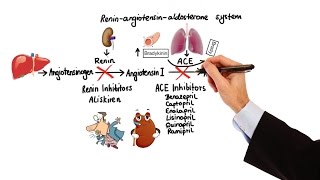 Pharmacology  HYPERTENSION amp ANTIHYPERTENSIVES MADE EASY [upl. by Gilleod107]