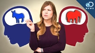 How Are Conservative And Liberal Brains Different [upl. by Sinnal]