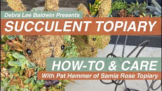 Succulent Topiary Design Ideas DIY amp Care Essentials [upl. by Bevvy566]