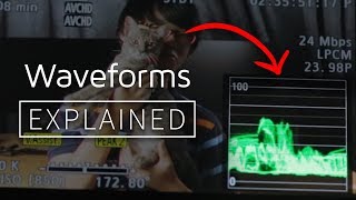 Explained  How to Read and Use Waveforms [upl. by Einahpets559]